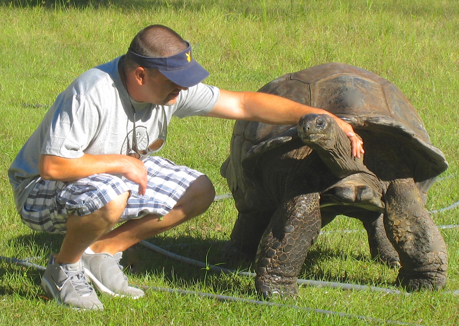 ALDABRA BREEDER