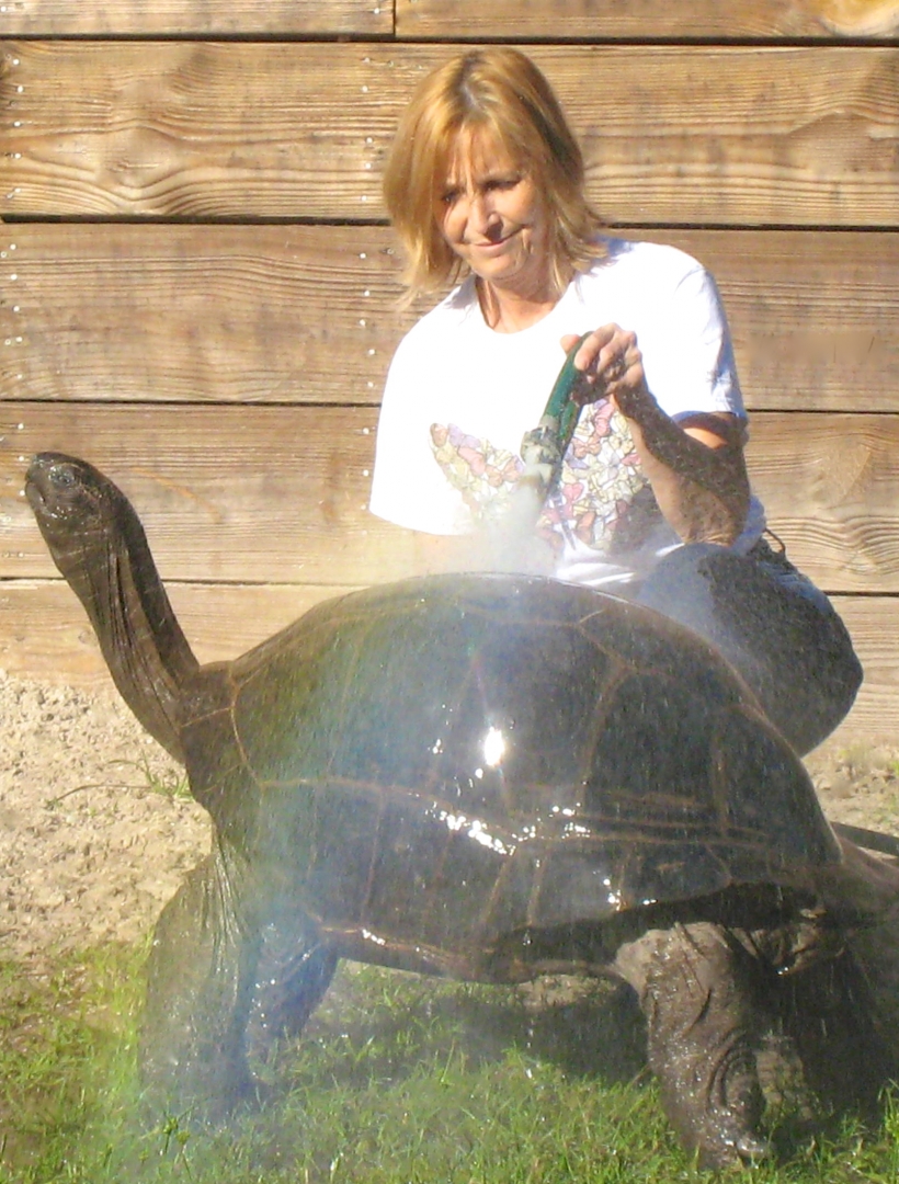 ALDABRA BREEDER