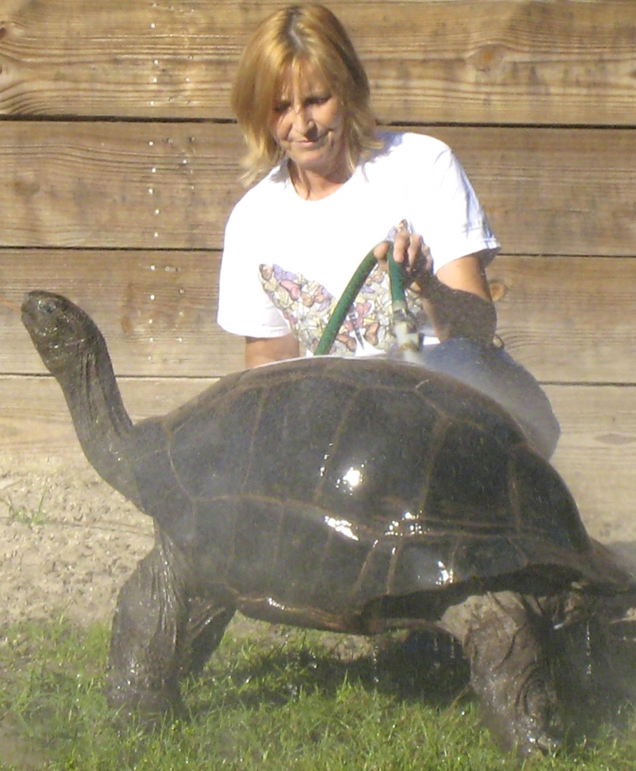 ALDABRA BREEDER