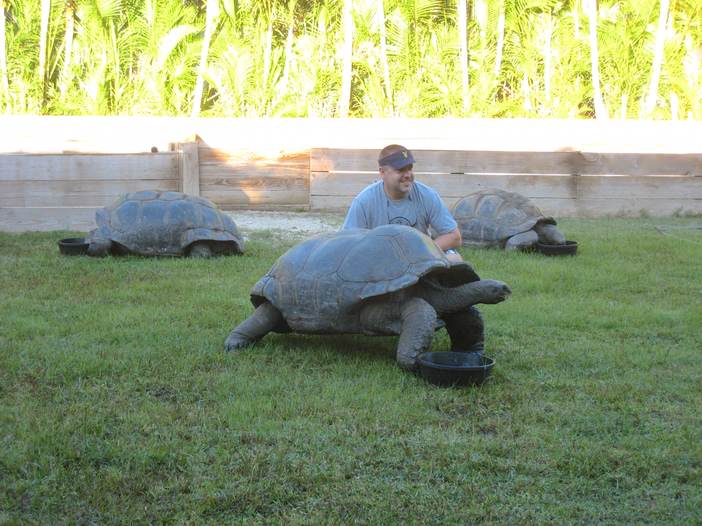 ALDABRA BREEDER