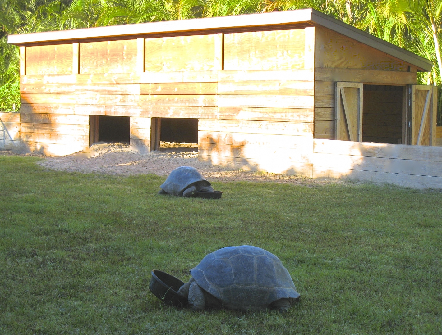 ALDABRA BREEDER