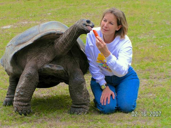 ALDABRA BREEDER