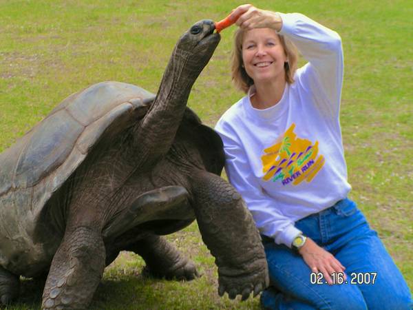 ALDABRA BREEDER