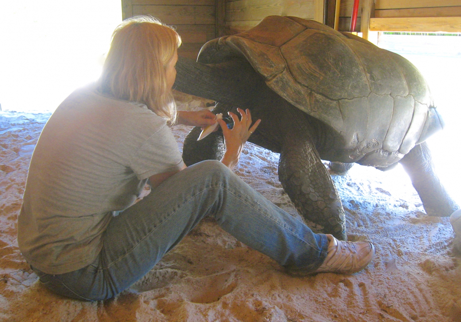 ALDABRA BREEDER