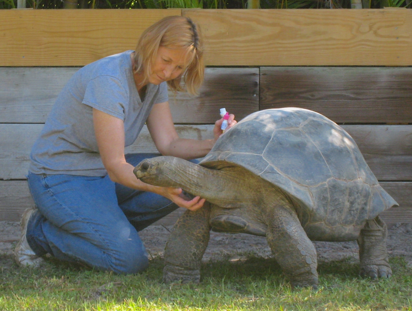 ALDABRA BREEDER
