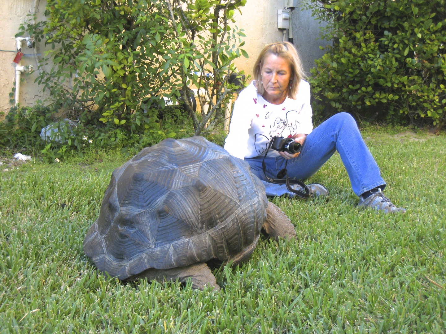 ALDABRA BREEDER