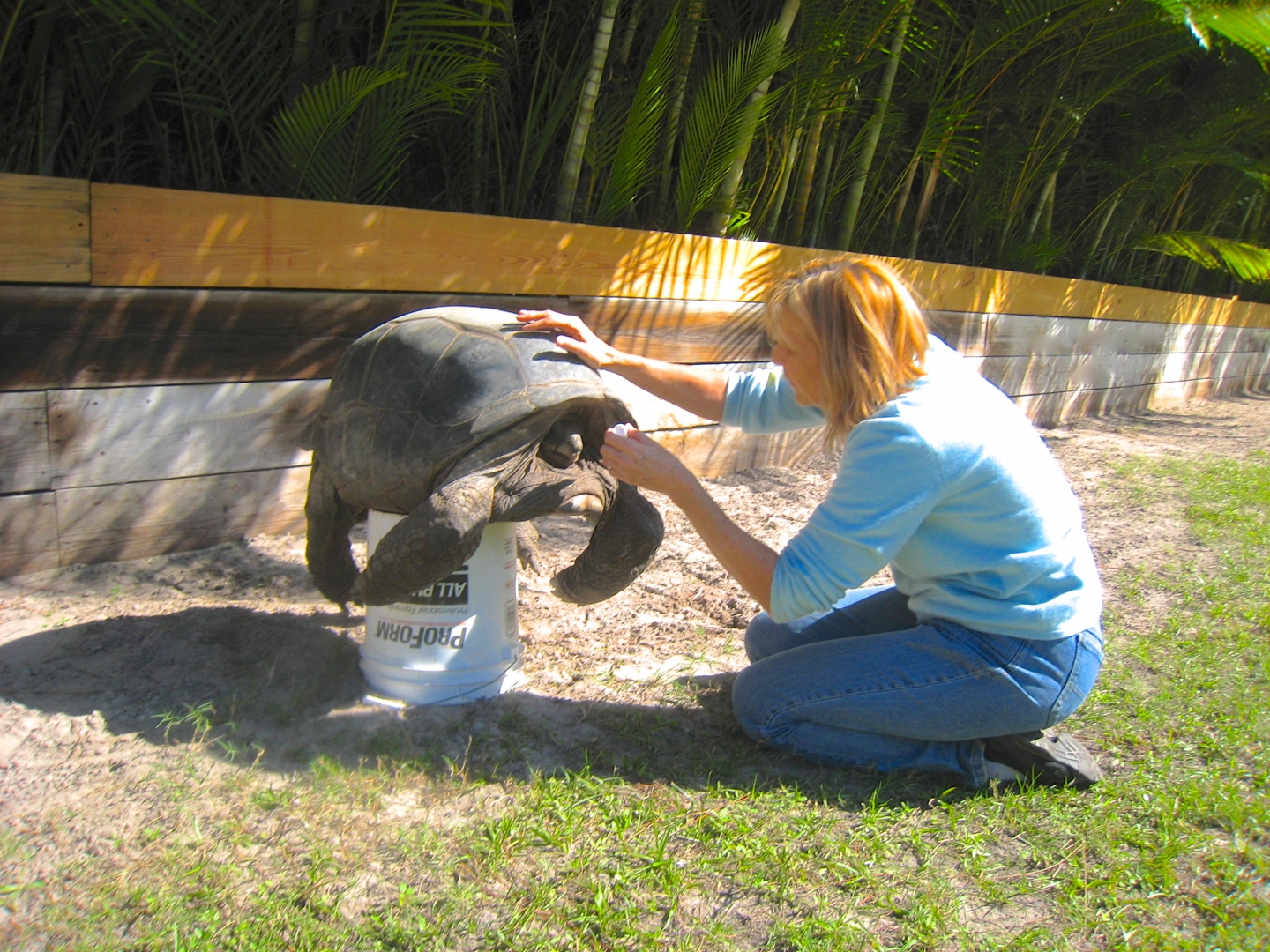 ALDABRA BREEDER
