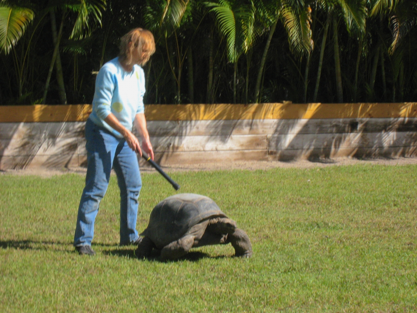 ALDABRA BREEDER
