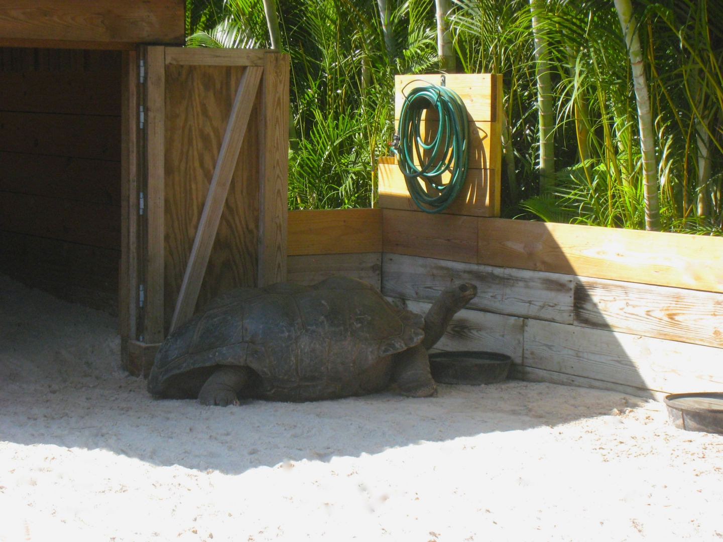 ALDABRA BREEDER