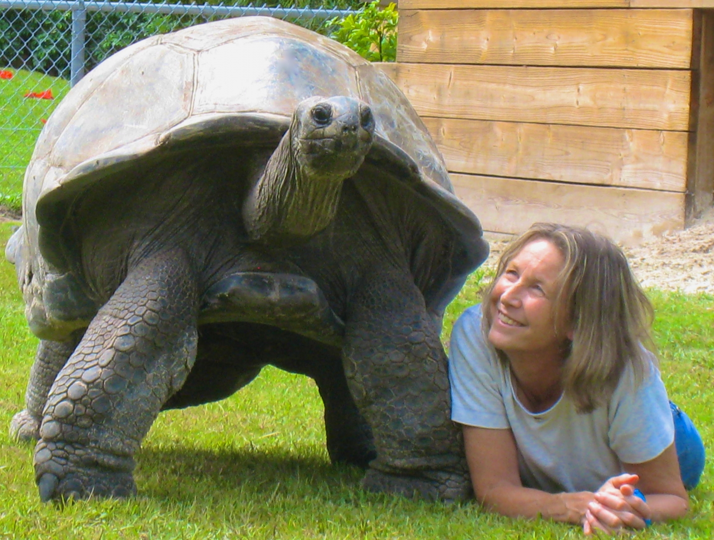 ALDABRA BREEDER