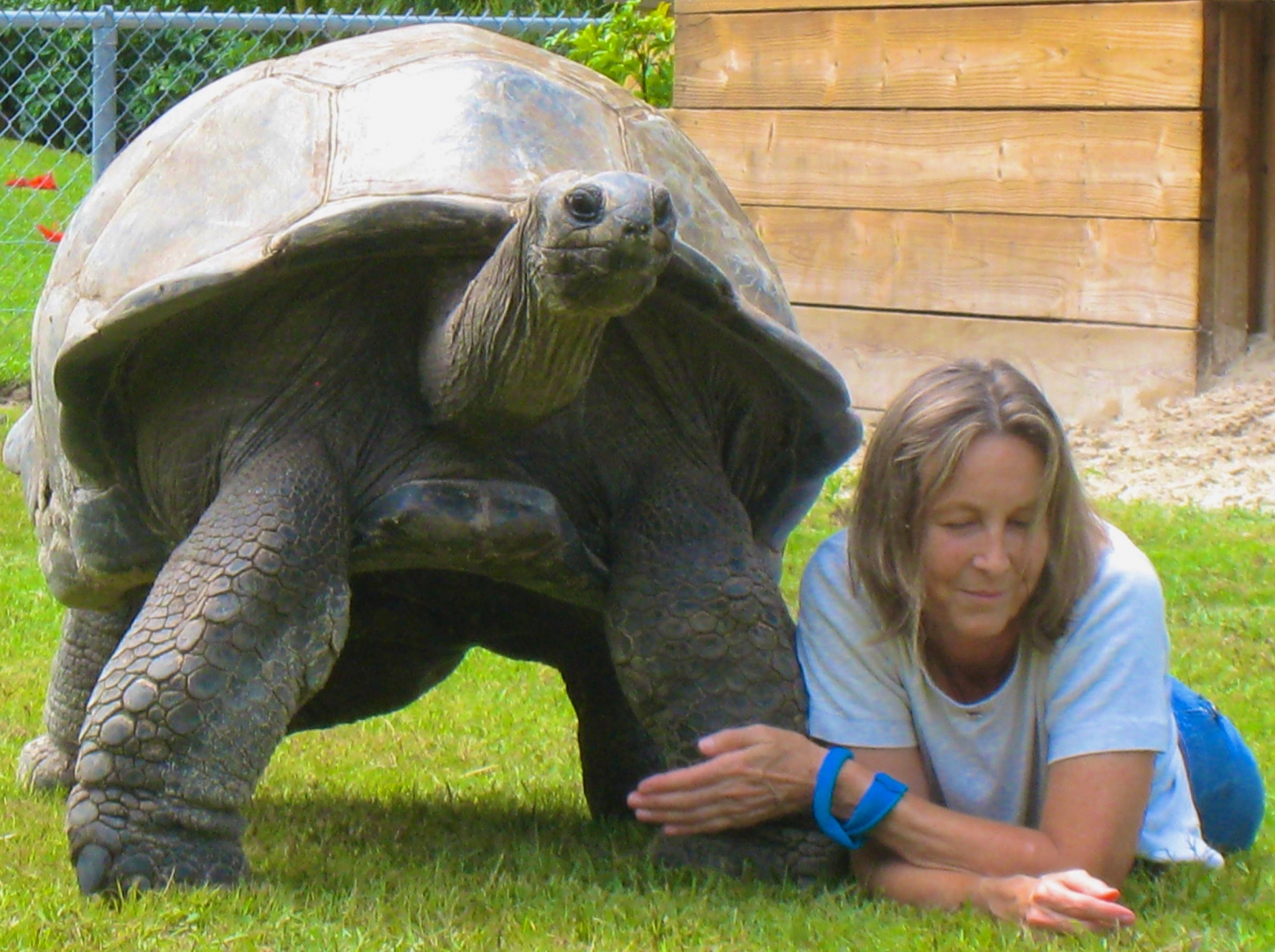 ALDABRA BREEDER