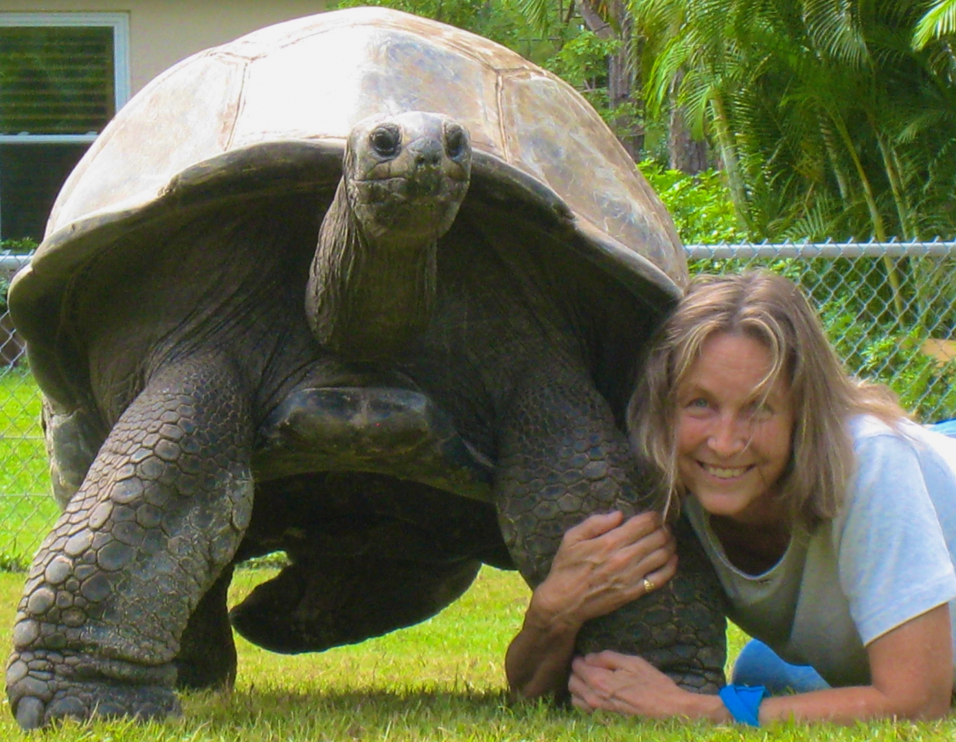 ALDABRA BREEDER