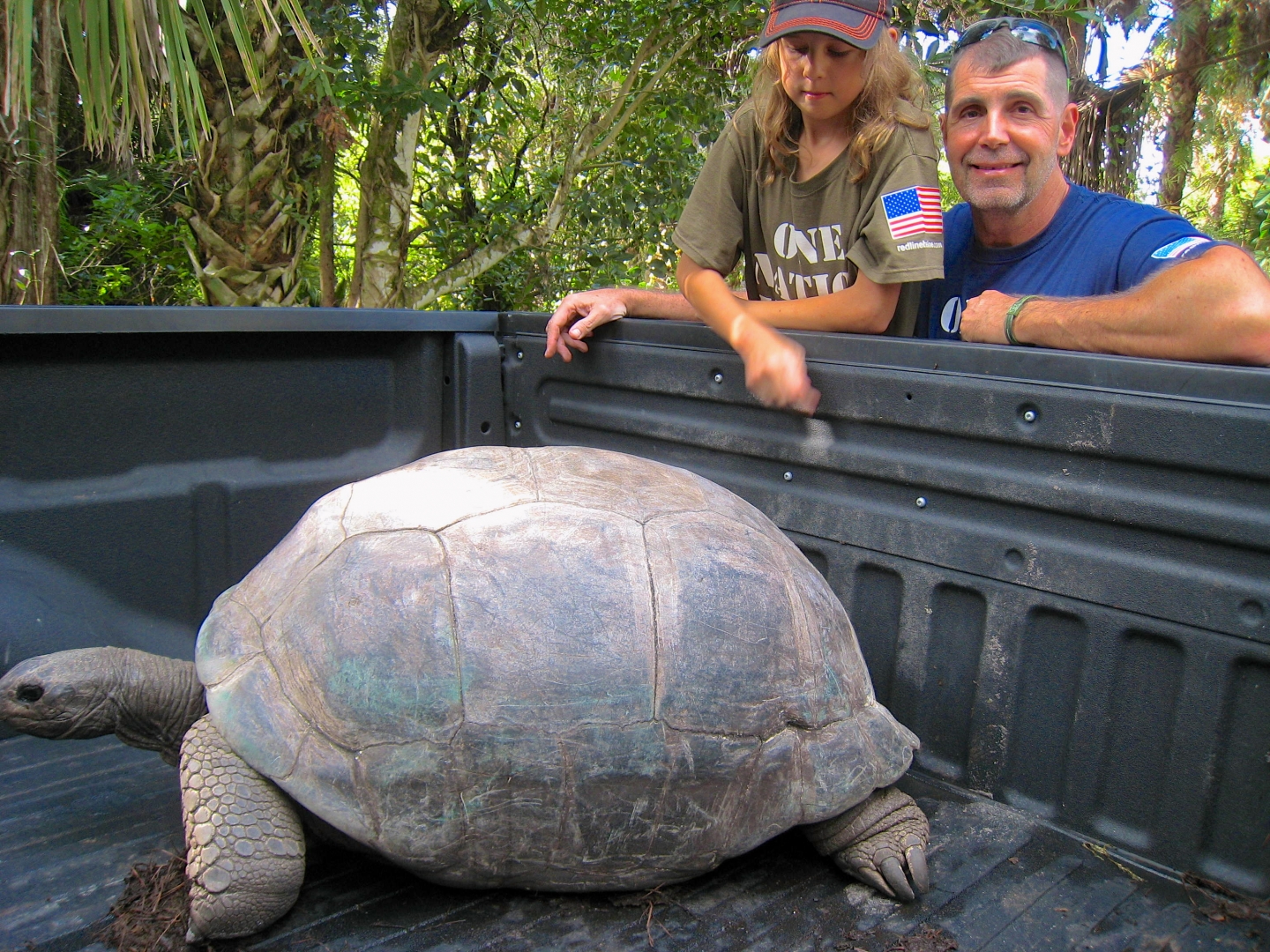 ALDABRA BREEDER