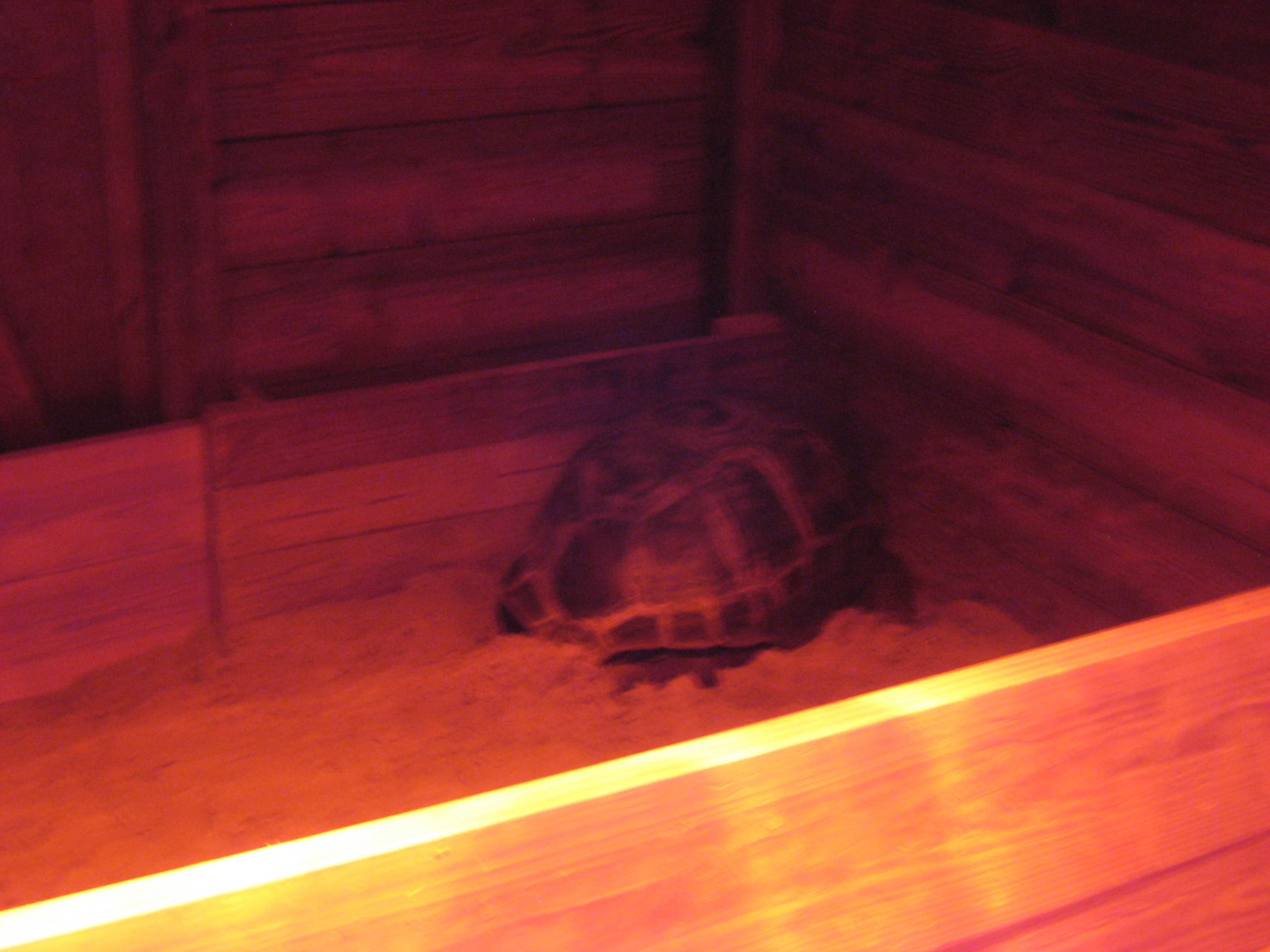 ALDABRA BREEDER