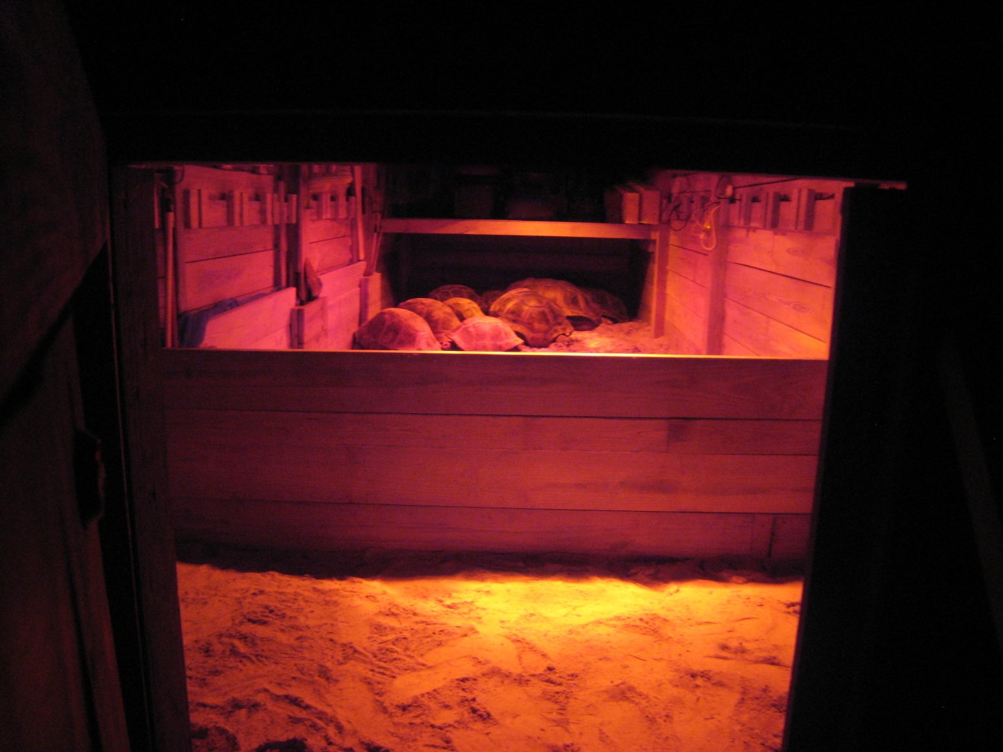 ALDABRA BREEDER