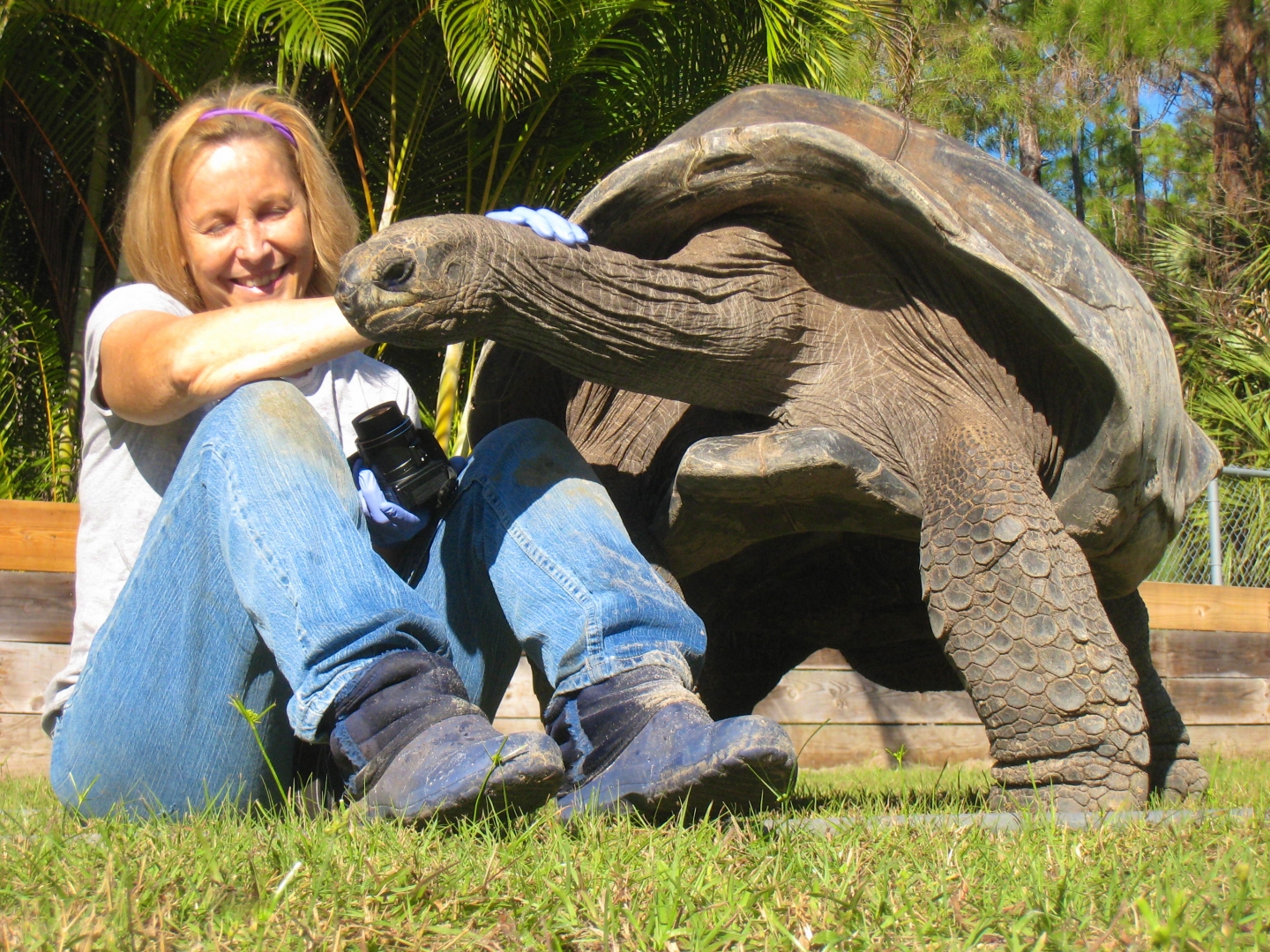 ALDABRA BREEDER