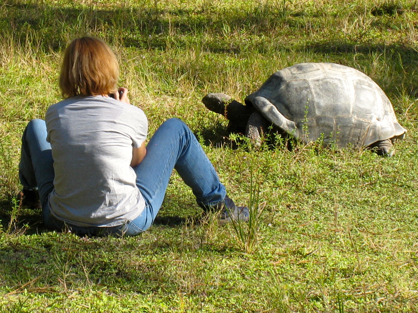 ALDABRA BREEDER