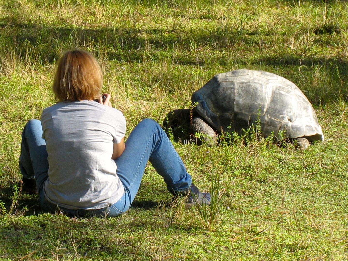 ALDABRA BREEDER