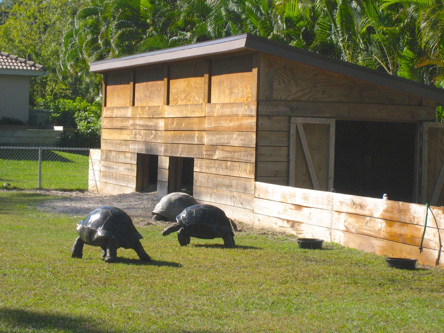 ALDABRA BREEDER