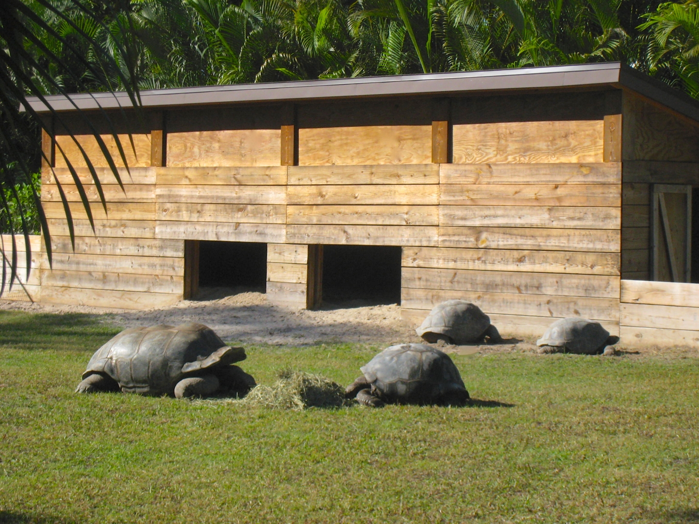 ALDABRA BREEDER