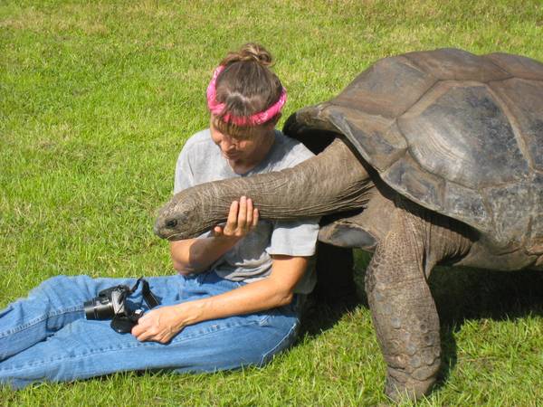 ALDABRA BREEDER