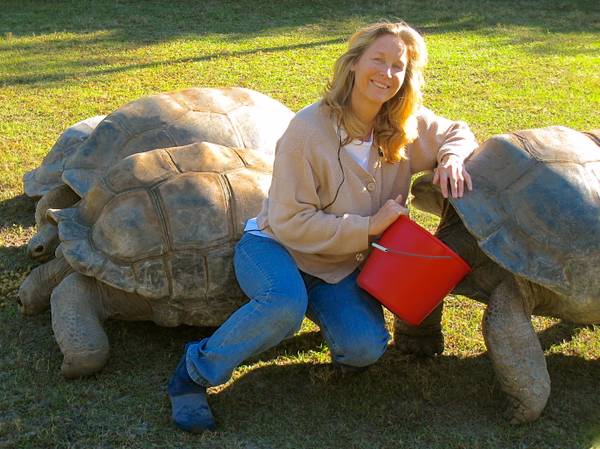 ALDABRA BREEDER