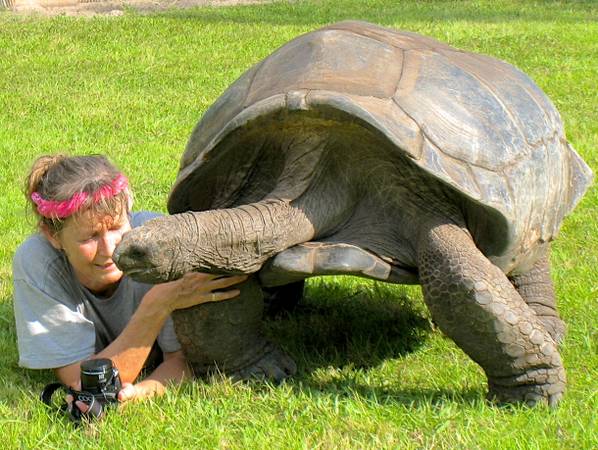 ALDABRA BREEDER
