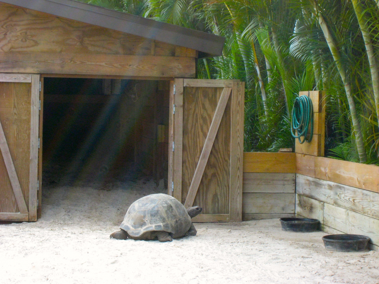 ALDABRA BREEDER