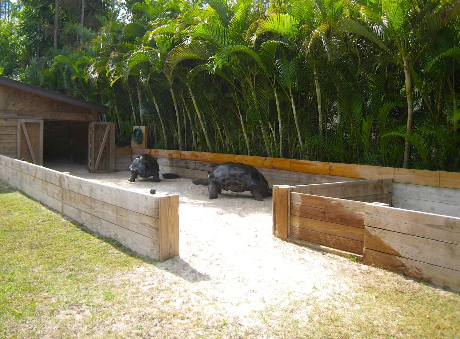 ALDABRA BREEDER