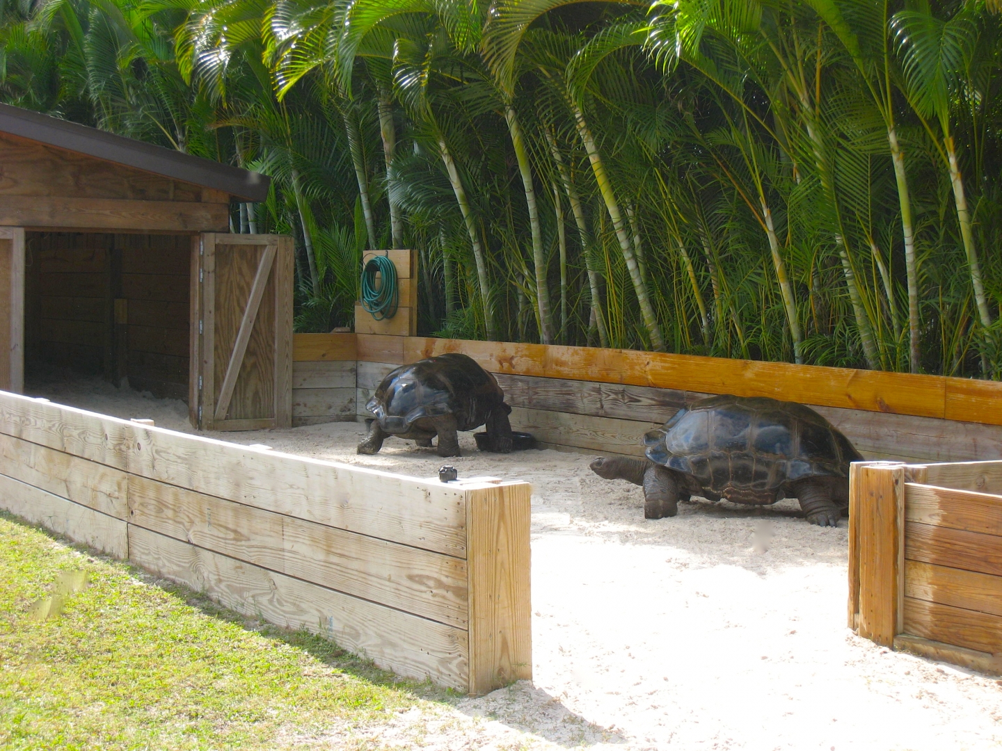ALDABRA BREEDER