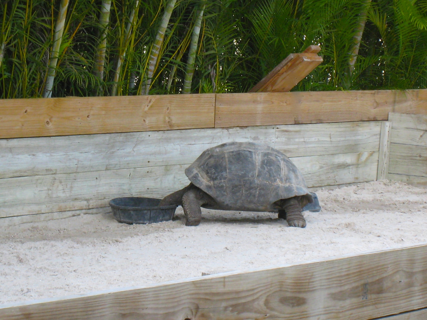 ALDABRA BREEDER