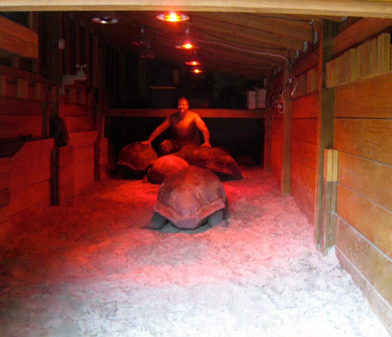 ALDABRA BREEDER