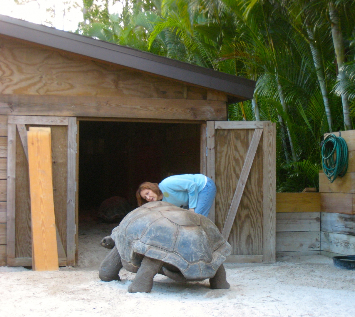 ALDABRA BREEDER