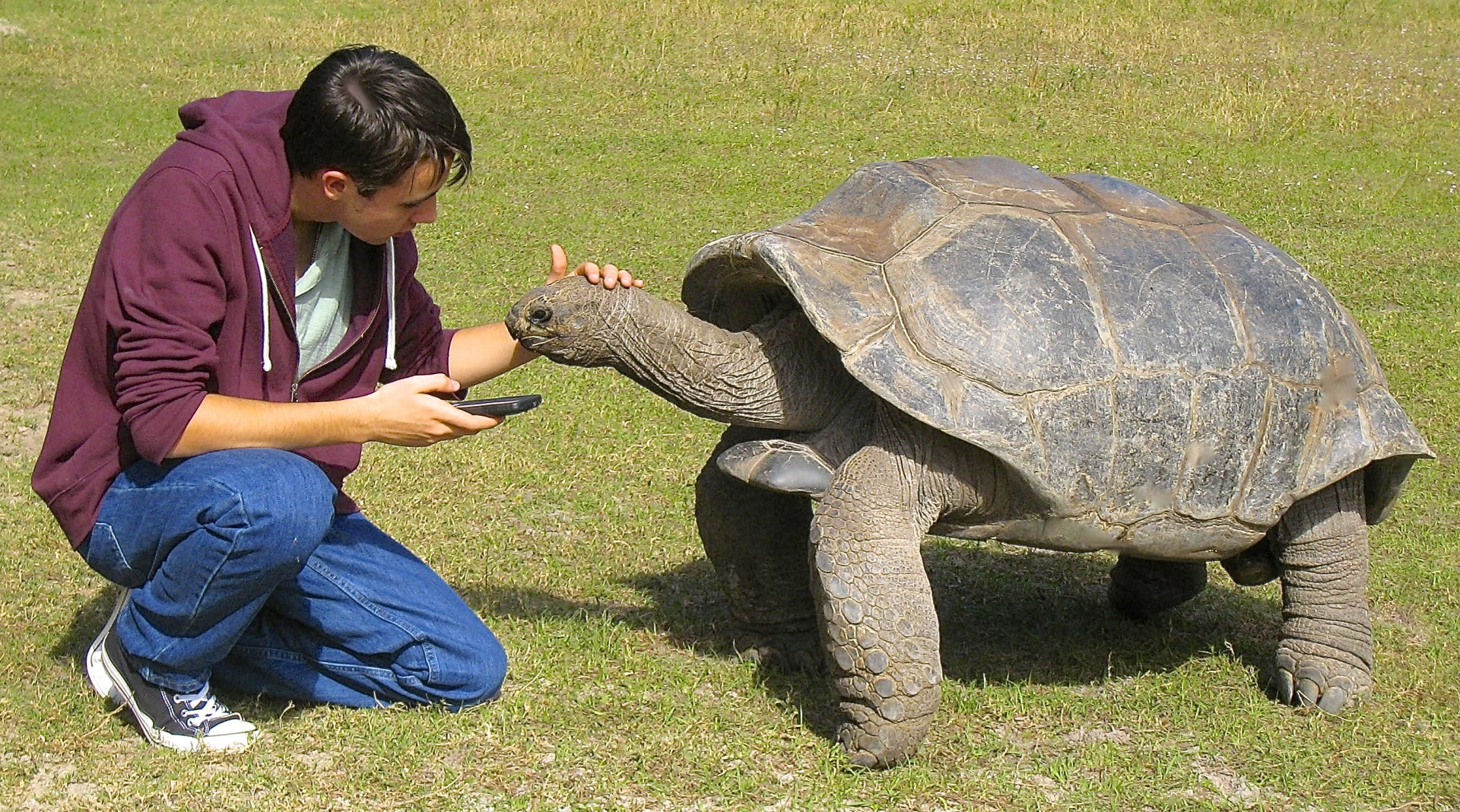 ALDABRA BREEDER
