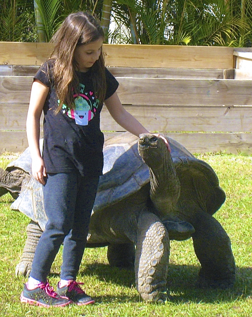 ALDABRA BREEDER