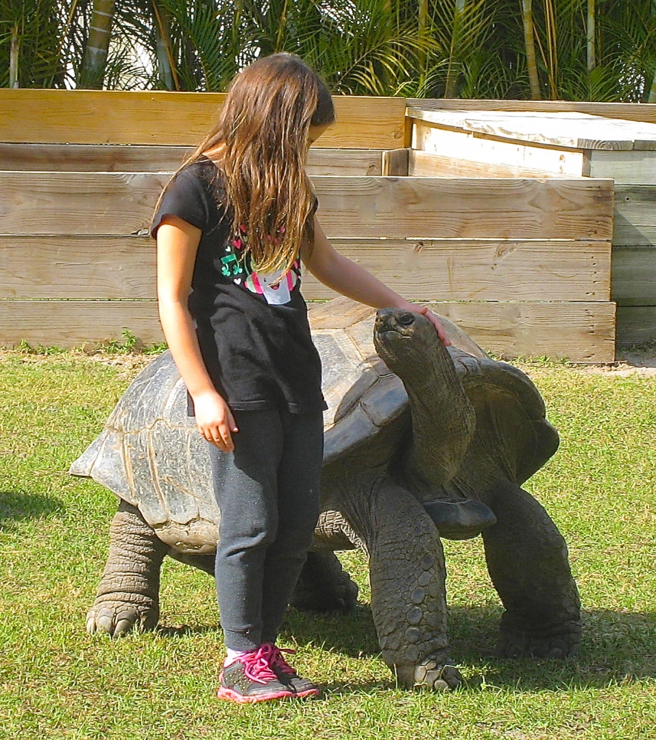 ALDABRA BREEDER
