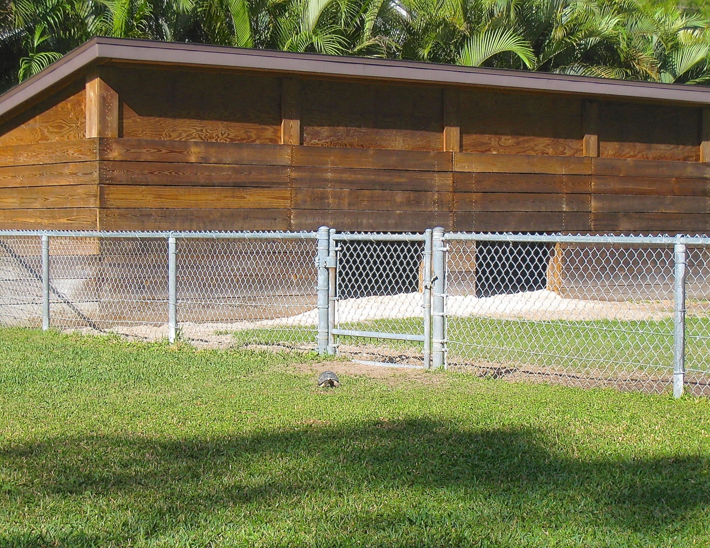 ALDABRA BREEDER