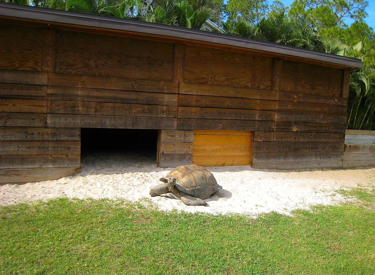 ALDABRA BREEDER