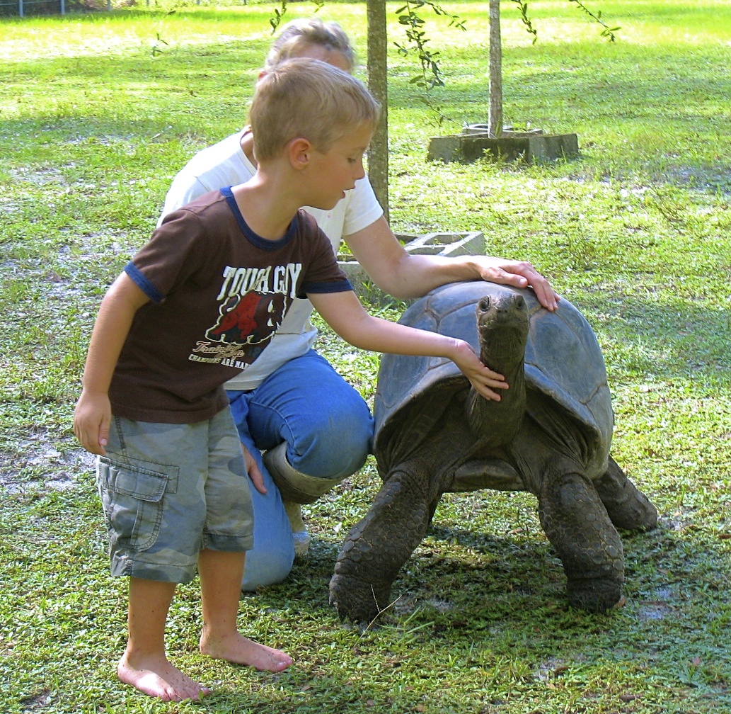 ALDABRA BREEDER