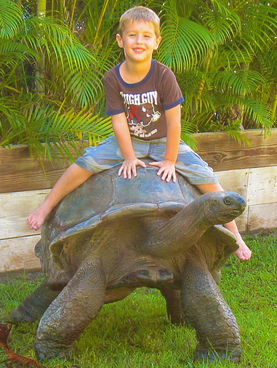 ALDABRA BREEDER