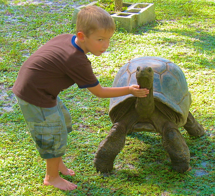 ALDABRA BREEDER