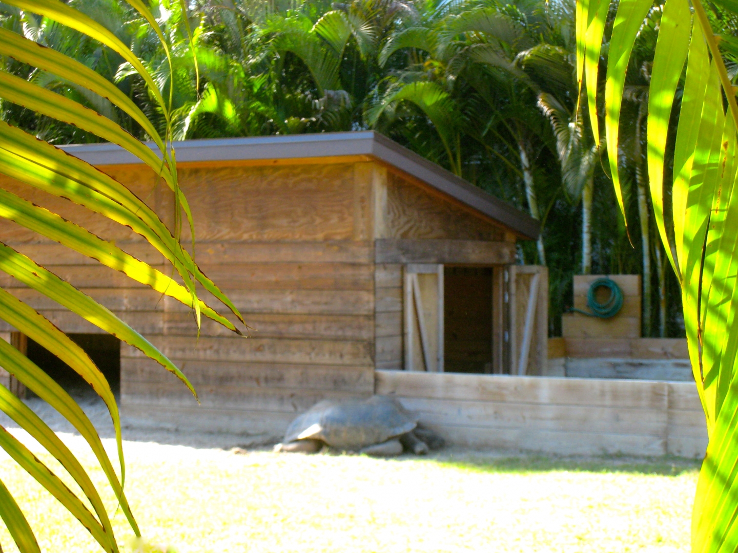 ALDABRA BREEDER