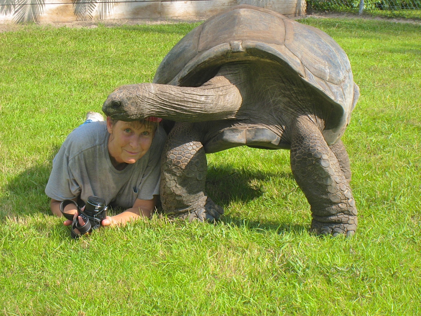 ALDABRA BREEDER