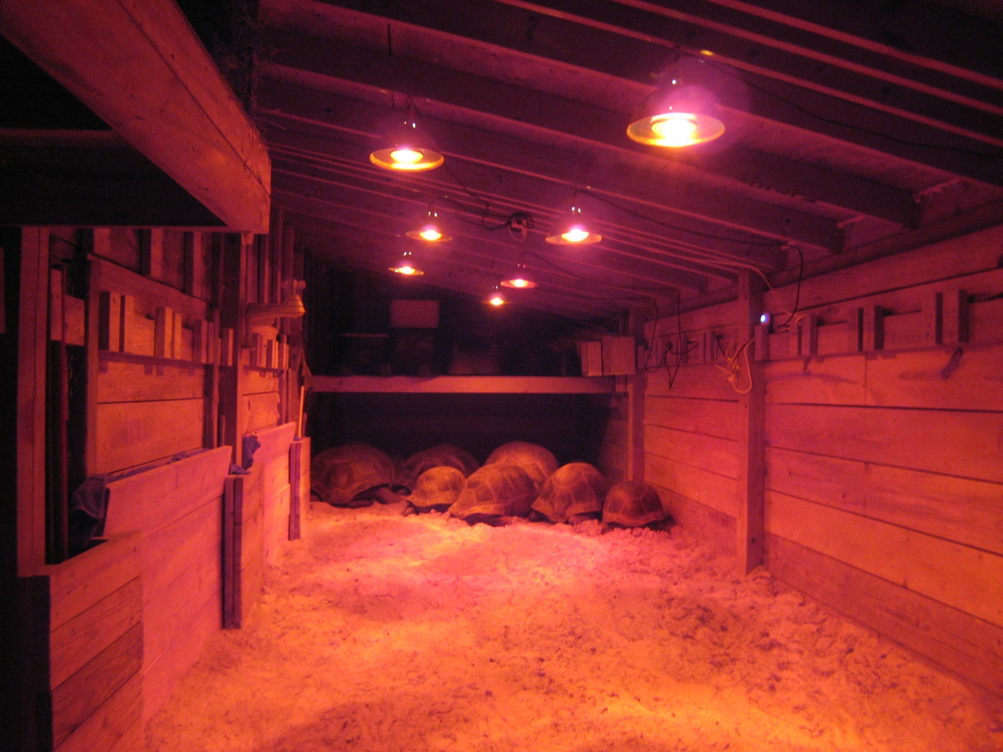 ALDABRA BREEDER