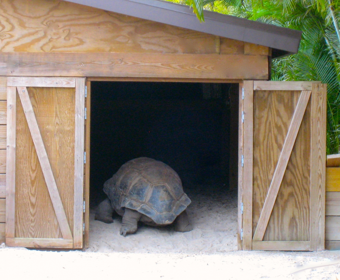 ALDABRA BREEDER