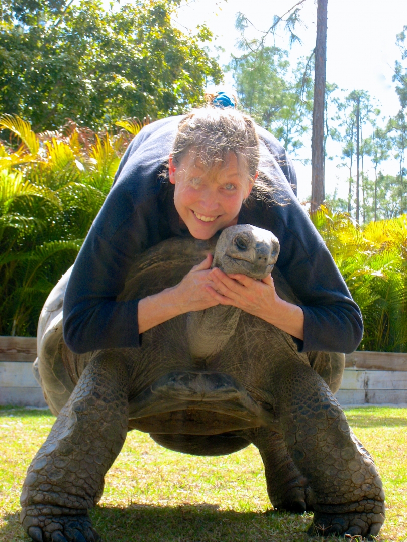 ALDABRA BREEDER