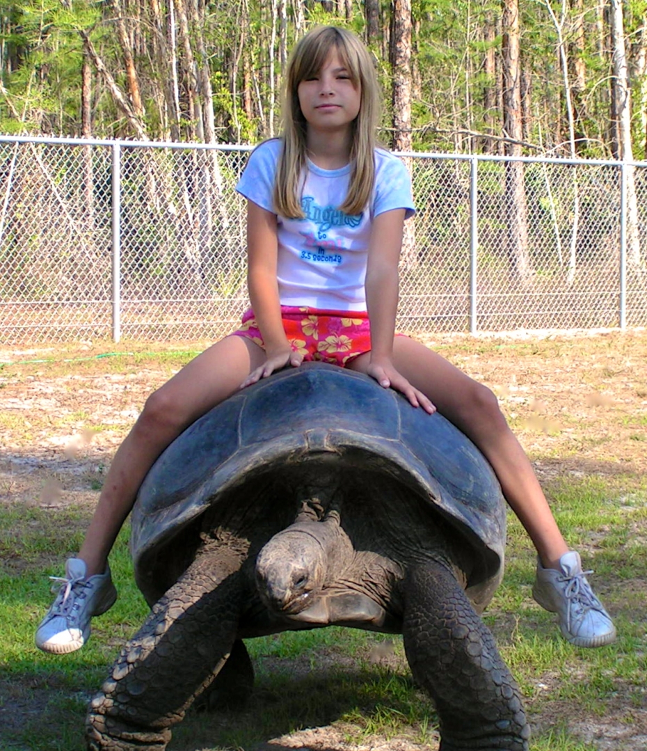 ALDABRA BREEDER