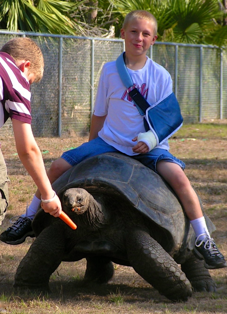 ALDABRA BREEDER