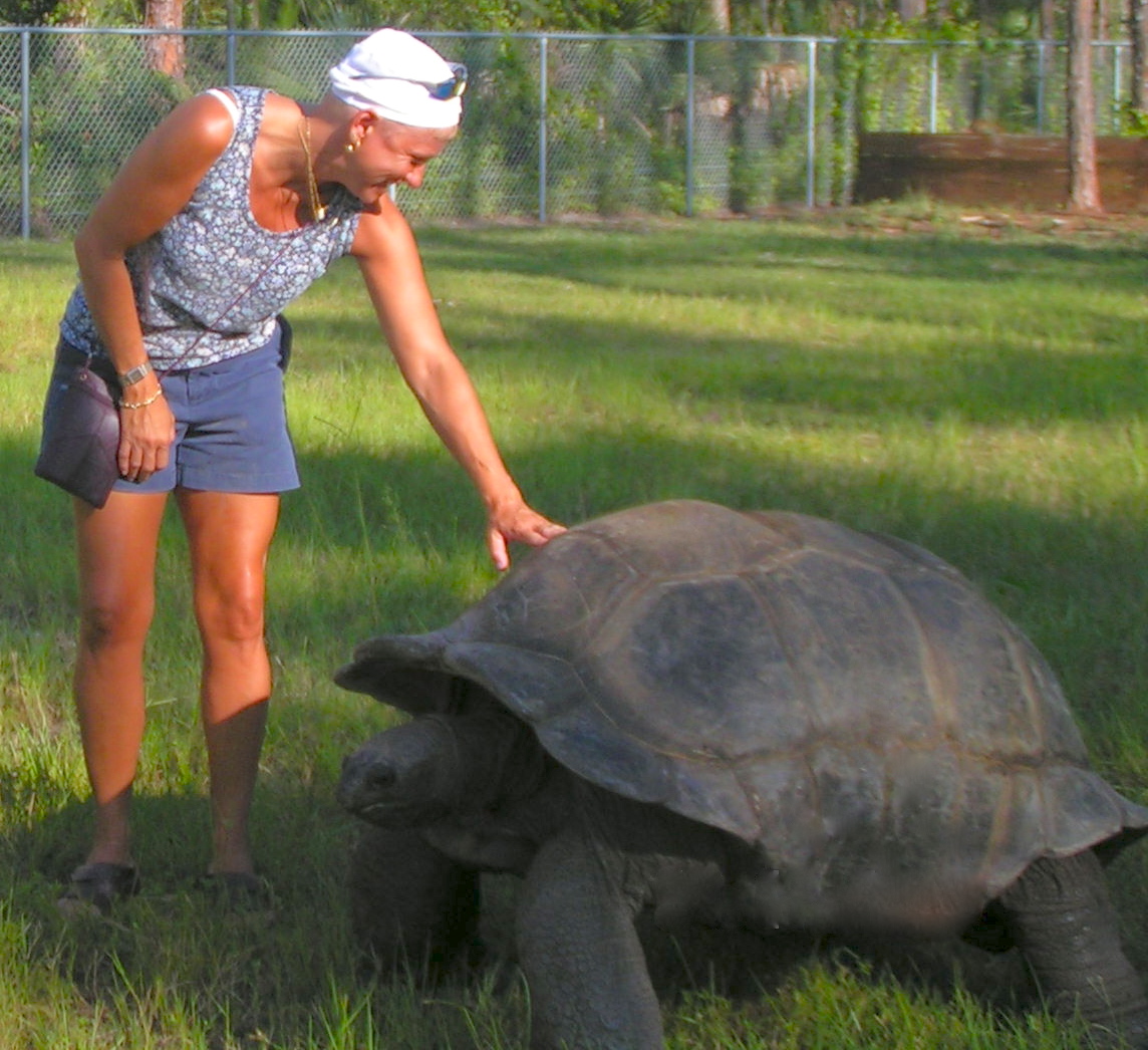 ALDABRA BREEDER