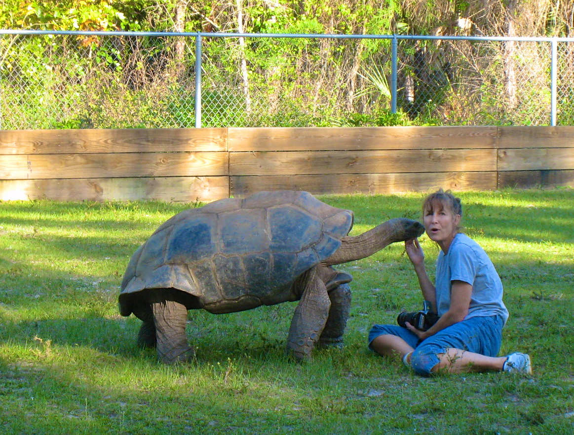 ALDABRA BREEDER
